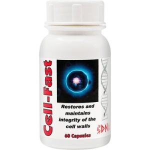 DNA Cell-Fast