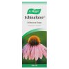 A Vogel Echinaforce 100ml