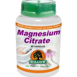 WILLOW MAGNESIUM CITRATE 500MG (60)