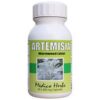 Medico Herbs Artemisia Afra 60 Capsules