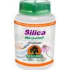 Willow Silica (Horsetail) 50 Capsules
