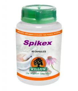 Willow Spikex 60 Capsules