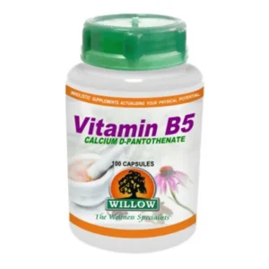 Willow Vitamin B5 100 Capsules