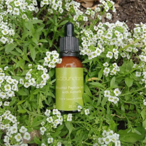 Bakuchiol Peptide Renewal Serum with Acmella 20ml