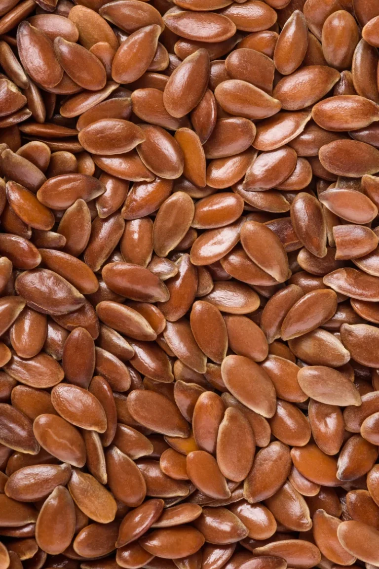 Roasted & Raw Linseed / Flaxseed 200g