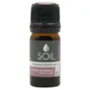 Soil Organic Roman Chamomile Essential Oil
