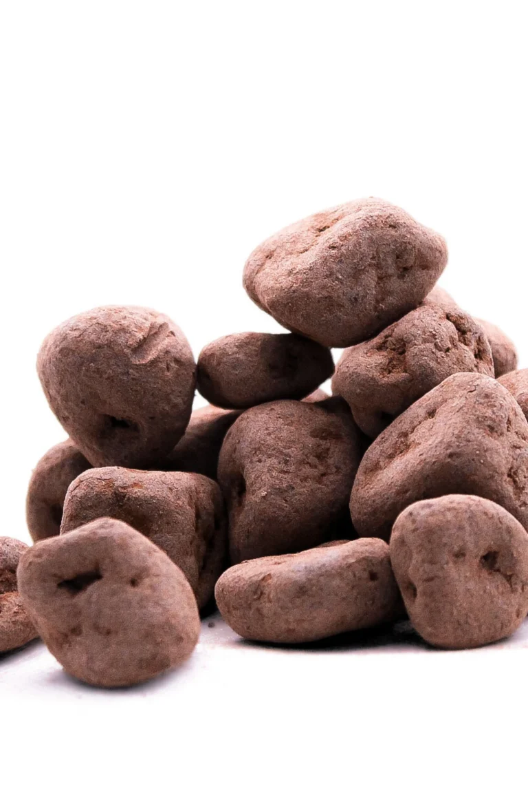 Roasted & Raw Dark Chocolate & Cocoa Ginger 200g